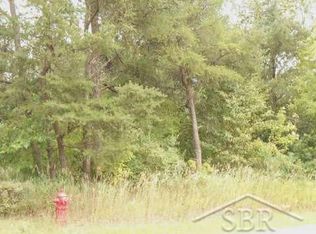 Cedar Lake Rd, Oscoda, MI 48750