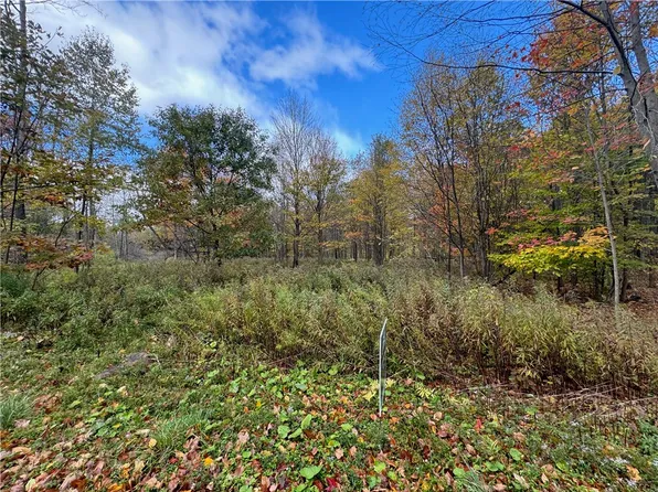 0 Town Line Rd #6, Unadilla, NY 13849