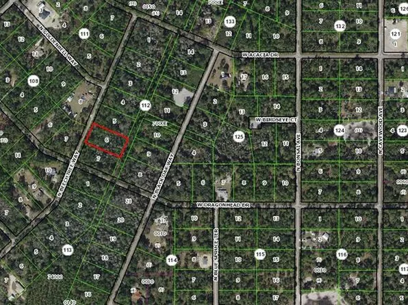 9345 N Beechtree Way Lot 6, Crystal River, FL 34428