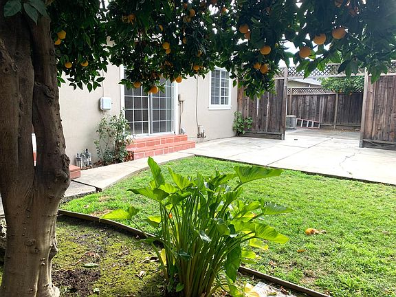 spacious backyard. both rooms 1 and 2 or total 3 have large windows looking into backyard.