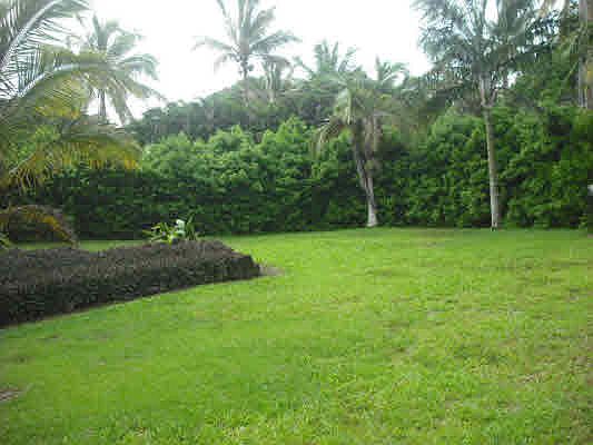 3rd image of Kii Nani St Lot 2