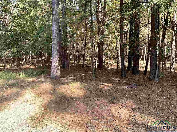 4th image of Tbd Shadowood Dr
