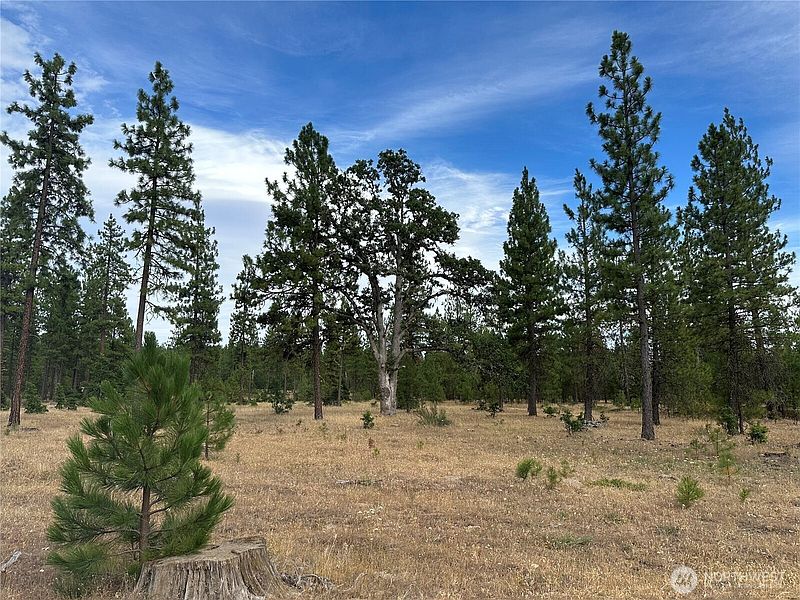 4th image of 0 Lot 5 Greyback Mt Road