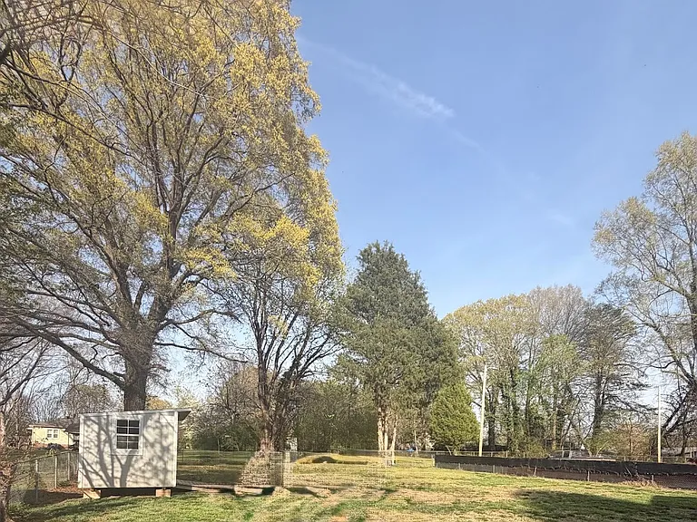 516 Kerr St — Photo 18
