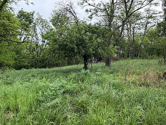 4th image of 2728 Pea Ridge Rd