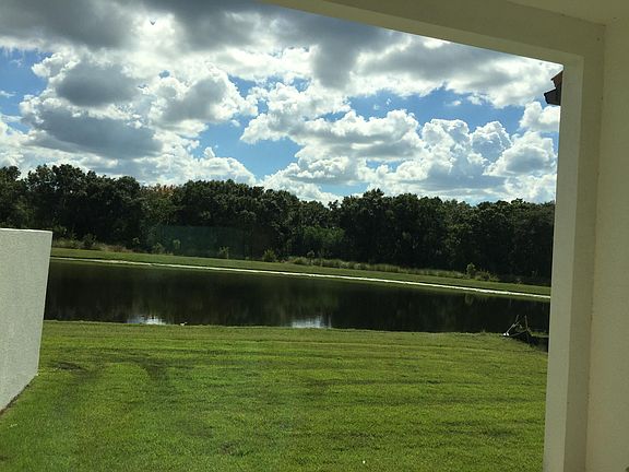 Backyard view