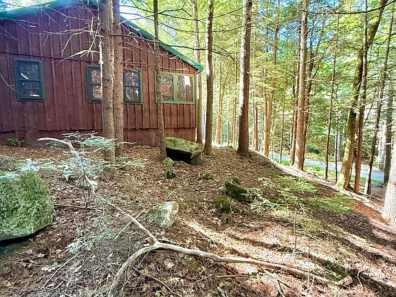 5th image of Lot 121 Upper Lead Mountain Pond Road