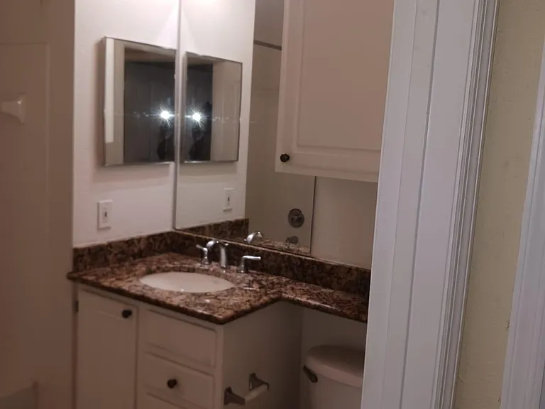 1408 Lake Shadow Cir #1105 — Photo 15