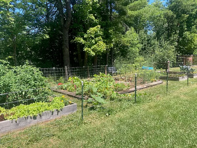 Shared gardens