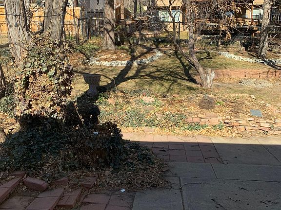 Backyard 1