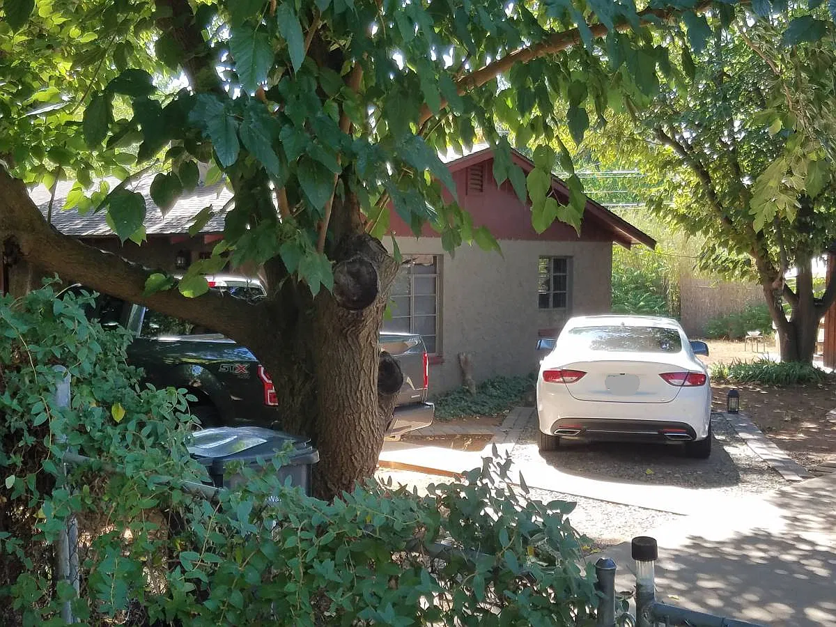 3 bed, 1300 sqft, $2,950 — Photo 1