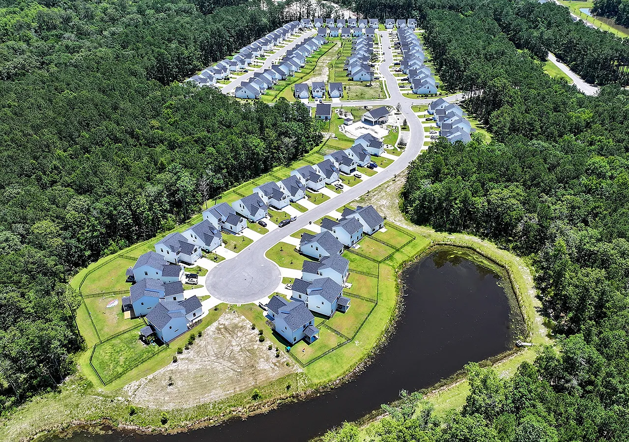 New River Forest — Photo 4