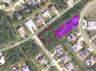 68 Bird Of Paradise Dr, Palm Coast, FL 32137