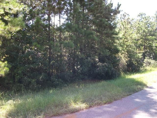 2nd image of 9835 Woodlane Blvd