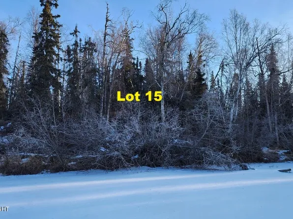 Township Road A Twin Island Lake No Rd #L15, Wasilla, AK 99654