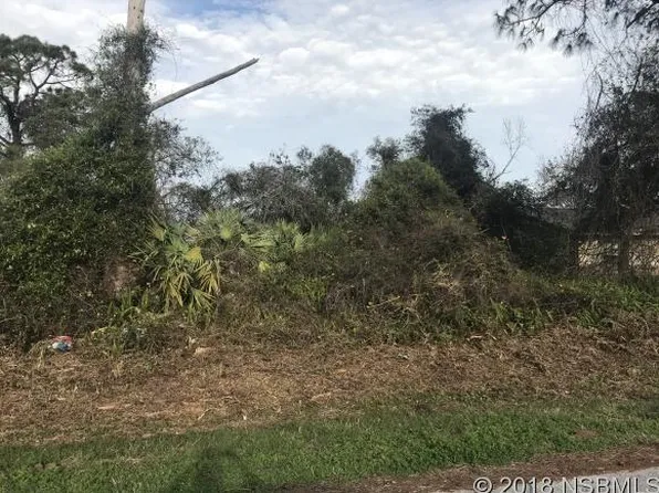 2521 Royal Palm Dr, Edgewater, FL 32141