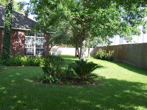Backyard