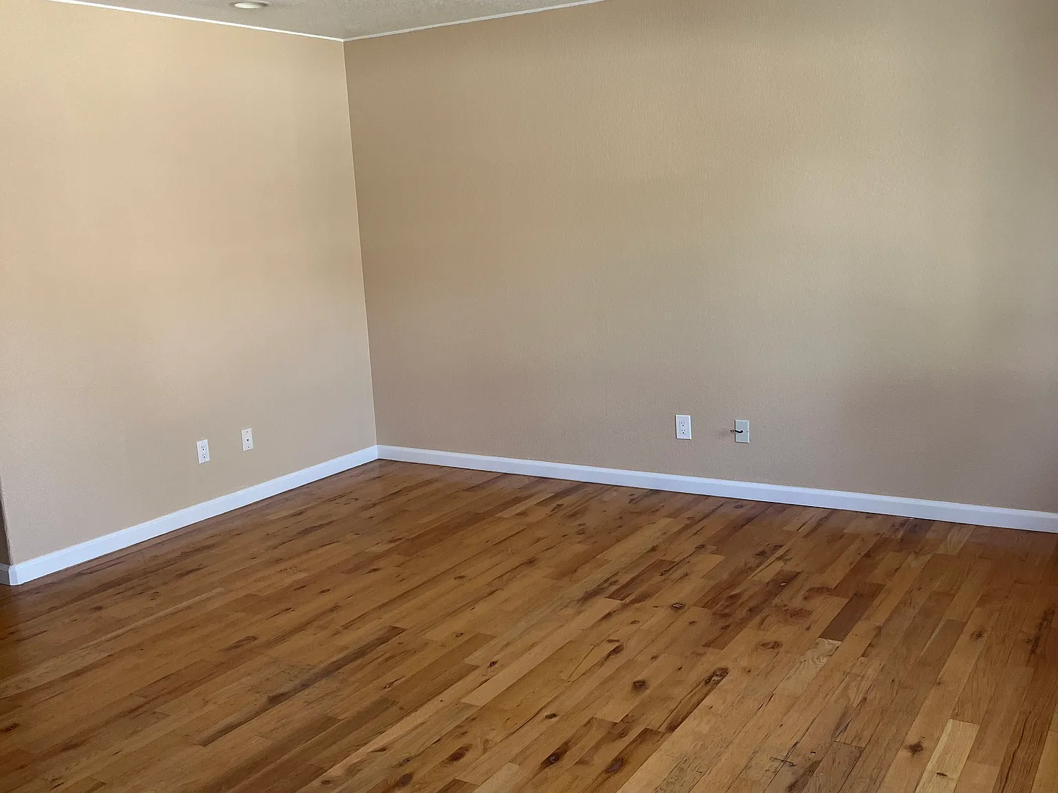 3 bed, 900 sqft, $1,885 — Photo 3
