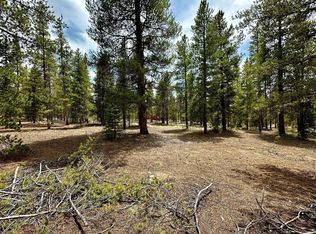 1740 Four Seasons Blvd, Leadville, CO 80461