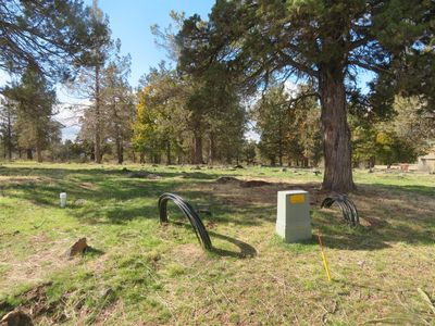 501 Cinnamon Teal, Klamath Falls, OR, 97601