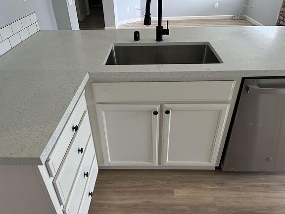 Kitchen Sink, Dishwasher and Counter