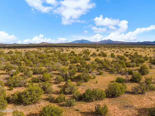 3697 E South Rim Ranch Rd #B, Williams, AZ 86046
