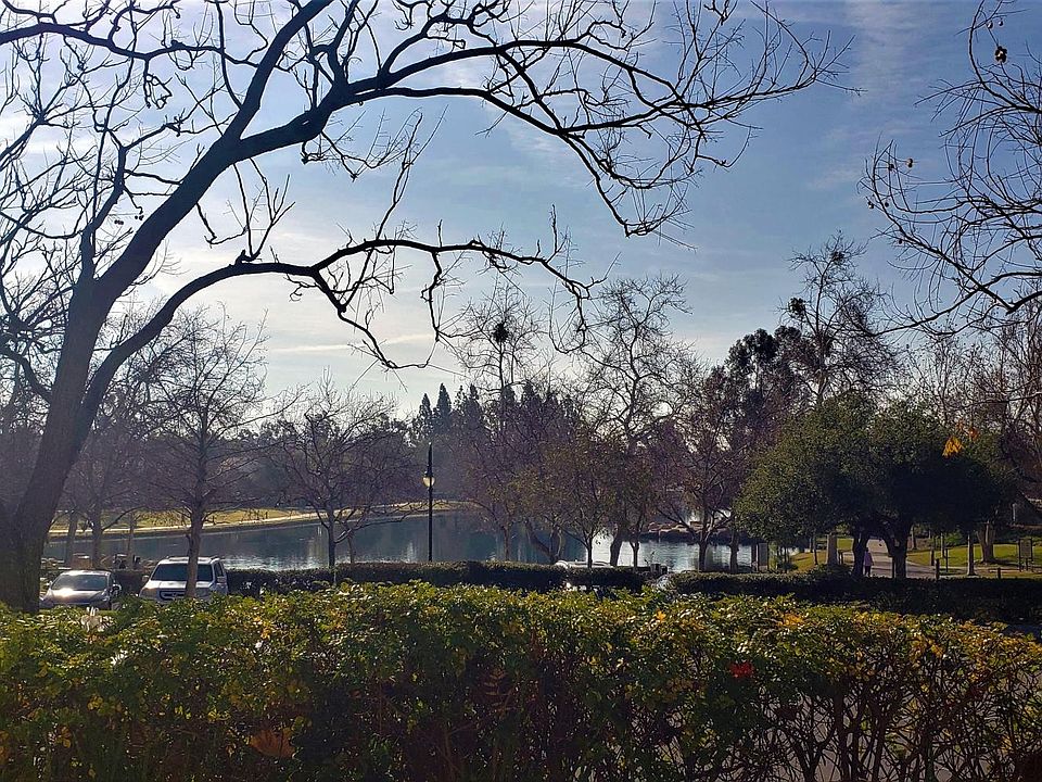 Beautiful Lake Views