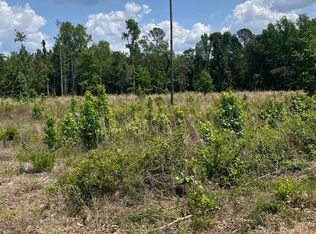 446 Marsh Rd, Islandton, SC 29929