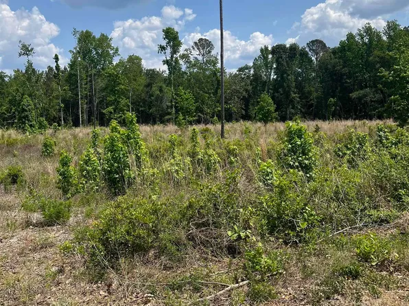 446 Marsh Rd, Islandton, SC 29929