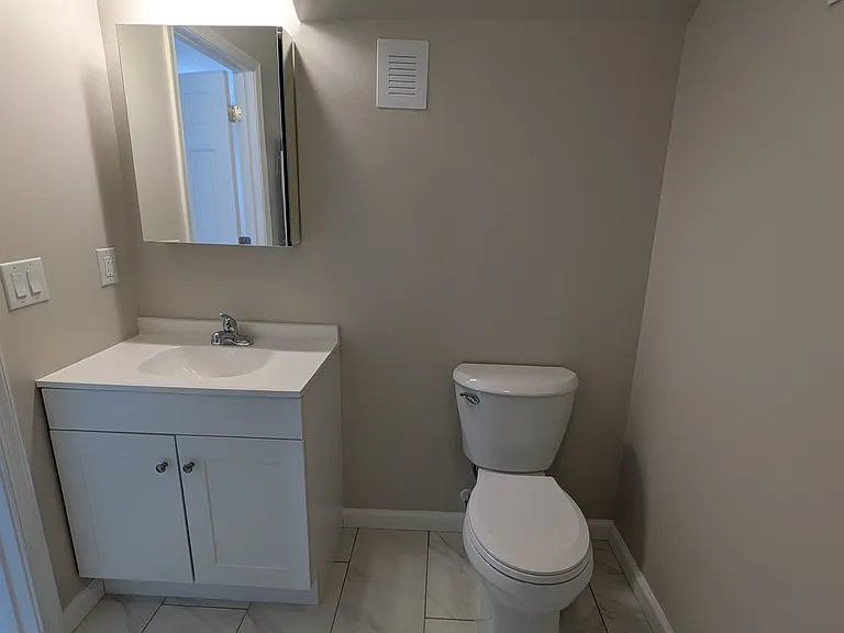 New vanity and toilet