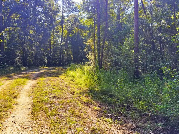 255 Riverside Cir, Wewahitchka, FL 32465