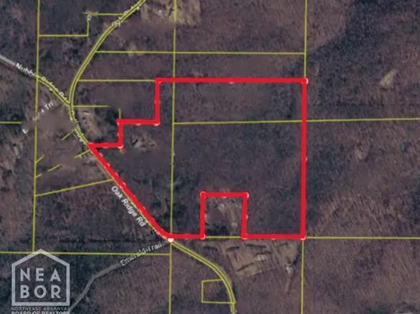 5349 Oak Ridge Rd, Ravenden Springs, AR 72460
