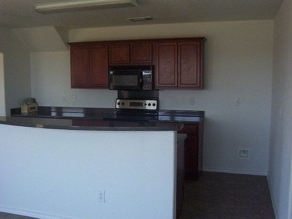 3rd image of 8603 Snow Goose