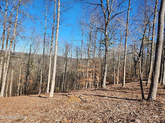 5th image of LOT 52 E Poplar Ln