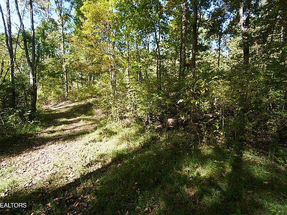 4th image of Brotherton Rd