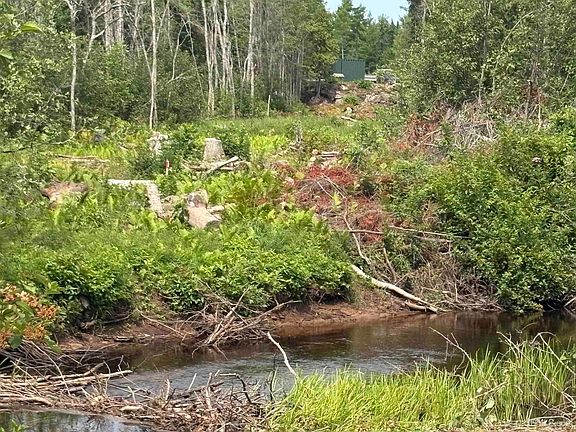 3rd image of River #80