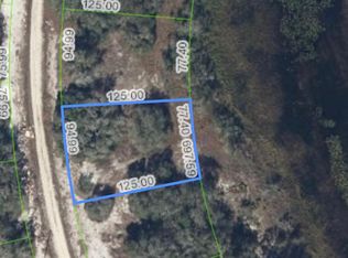 307 Dargen Dr, Lake Placid, FL 33852