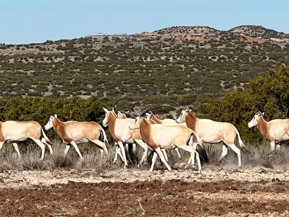 County Road 352, Guthrie, TX 79236