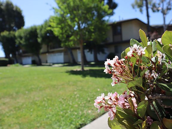 2nd image of 1330 S Sunset Ave APT 222