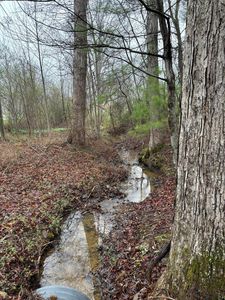 4142 Bradshaw Rd, Salem, VA, 24153