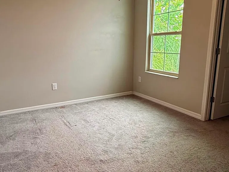10207 Boggy Moss Dr — Photo 10