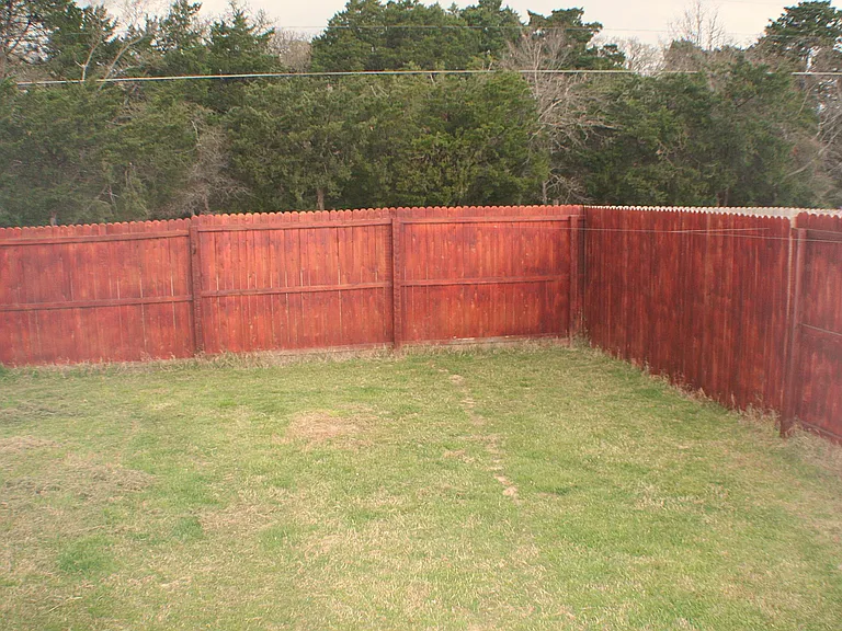 Backyard_03112016