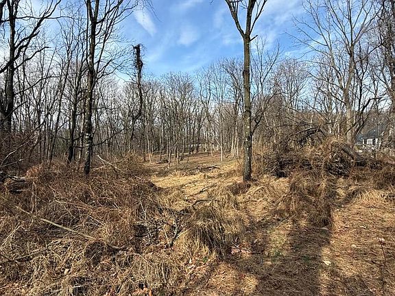 3rd image of 0 Sand Hill Rd