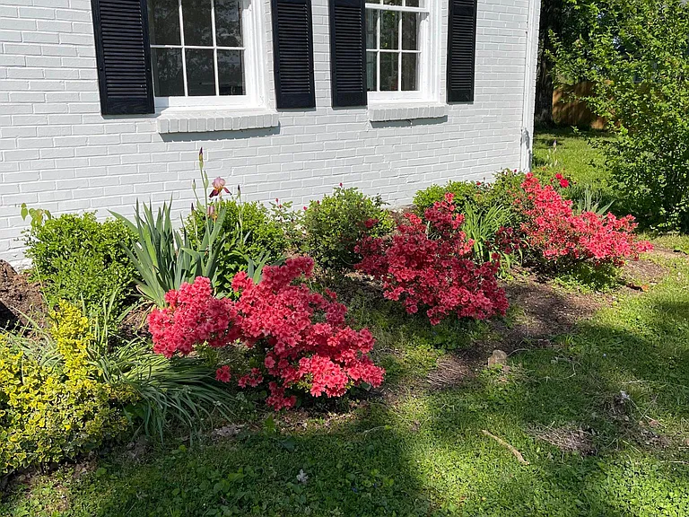 910 SE Broad St — Photo 3