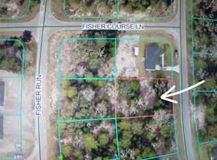 Fisher Crse LOT 2, Ocklawaha, FL 32179