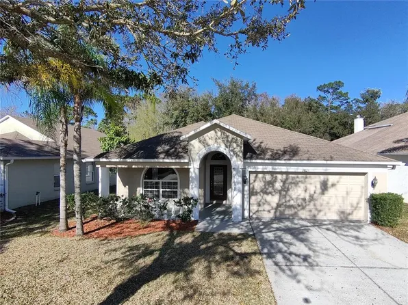15825 Leatherleaf Ln, Land O Lakes, FL 34638