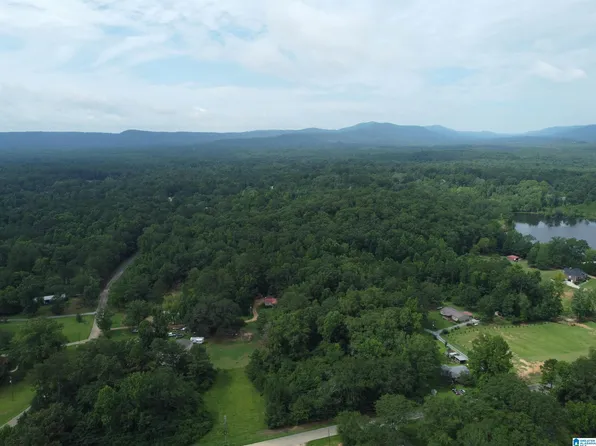 678 County Road 480 #0, Vandiver, AL 35176