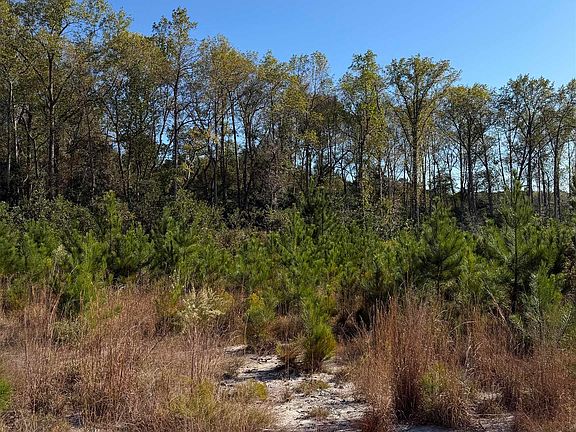 2nd image of Platt Springs Rd Parcel C