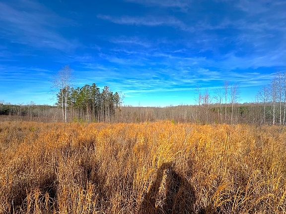3rd image of 0 Saddleback Dr Lot 62