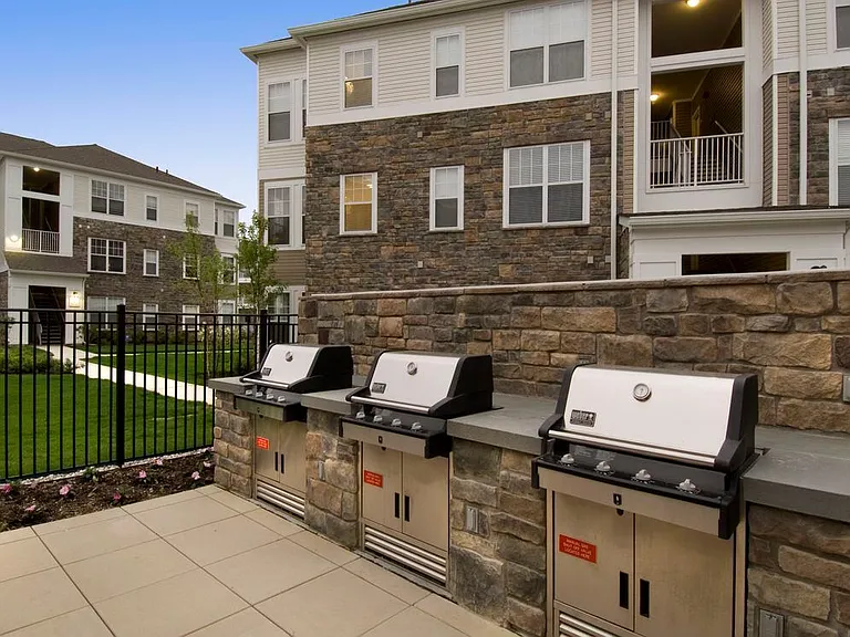 Barbecue and picnic area